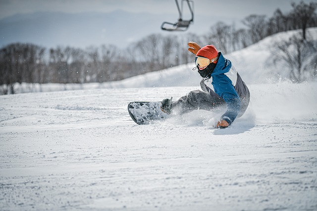 ダイナランド(岐阜県)