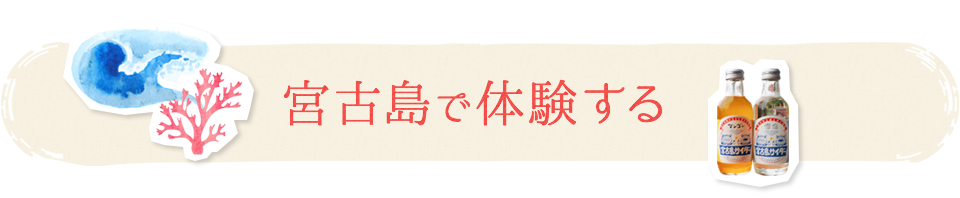 宮古島で体験する