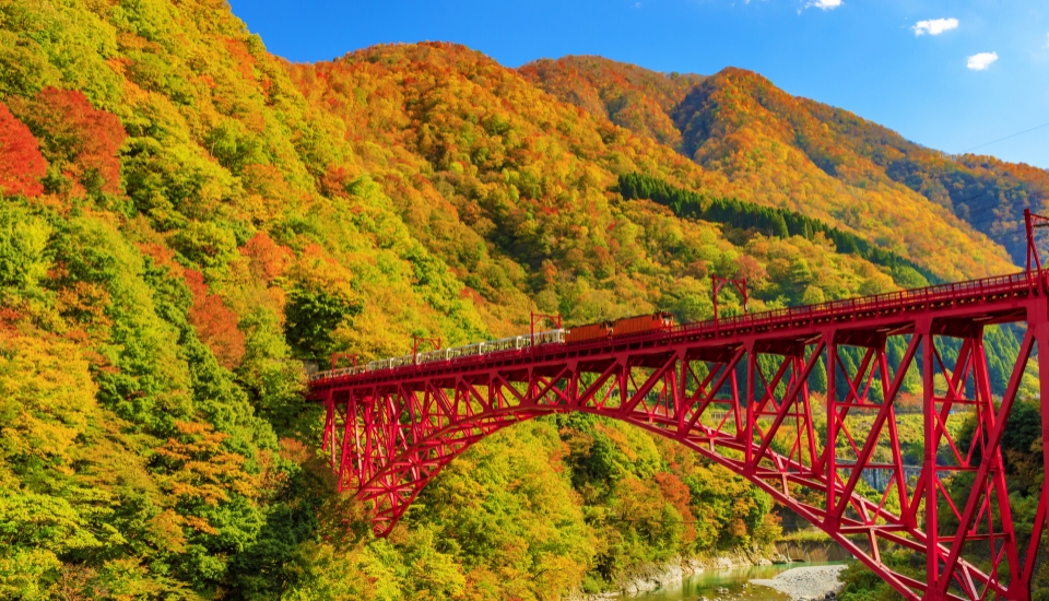 写真:富山県