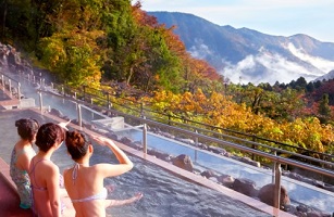 箱根小涌園ユネッサン周辺のホテル 旅館に泊まる トラベルコ