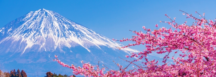 富士山周辺・御殿場・富士宮