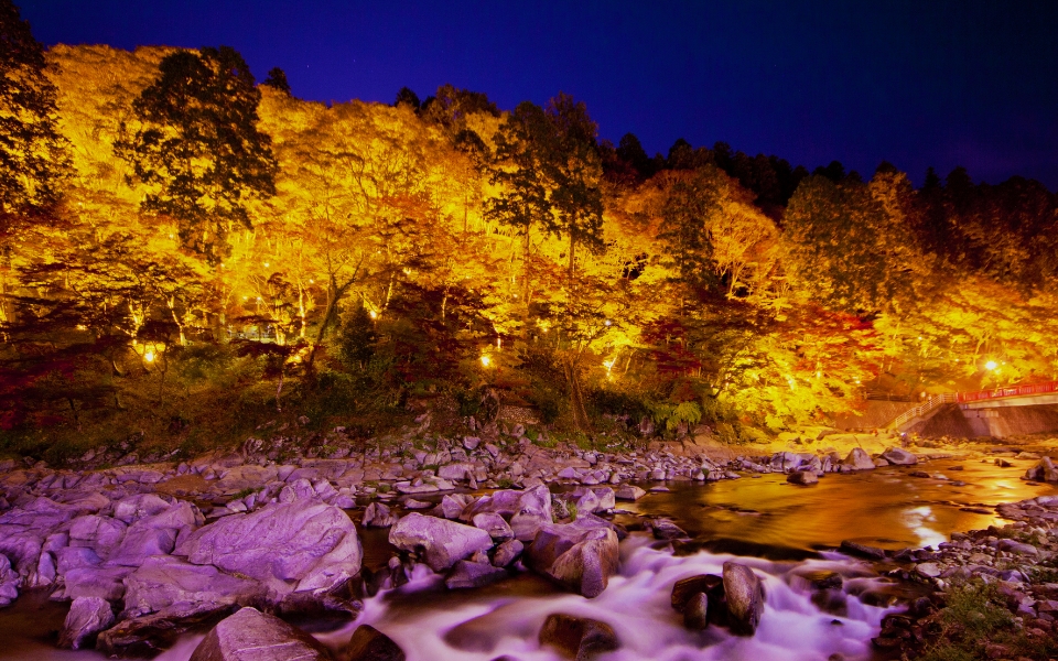 豊田・岡崎・安城