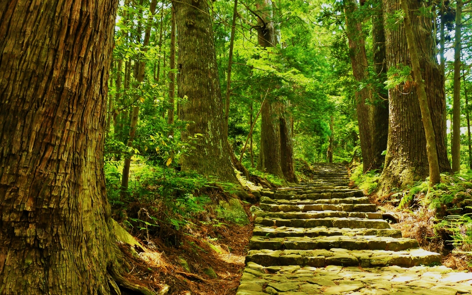 熊野本宮・新宮