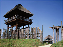 吉野ヶ里歴史公園の写真