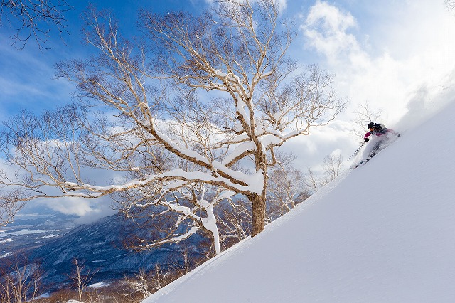 妙高杉ノ原スキー場(新潟県)