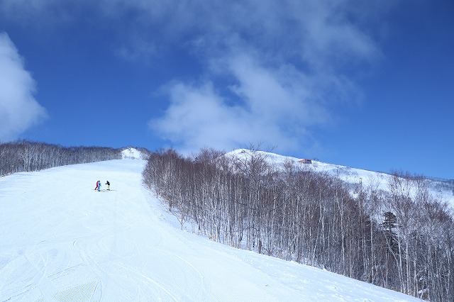 サホロリゾートスキー場(北海道)