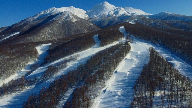 青森スプリング・スキーリゾート情報 - スキーツアー・スノボツアー