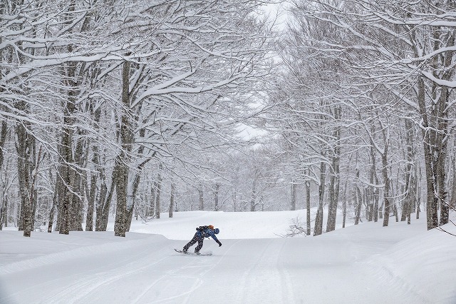 奥只見丸山スキー場(新潟県)