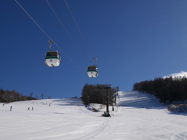 白樺高原国際スキー場(長野県)
