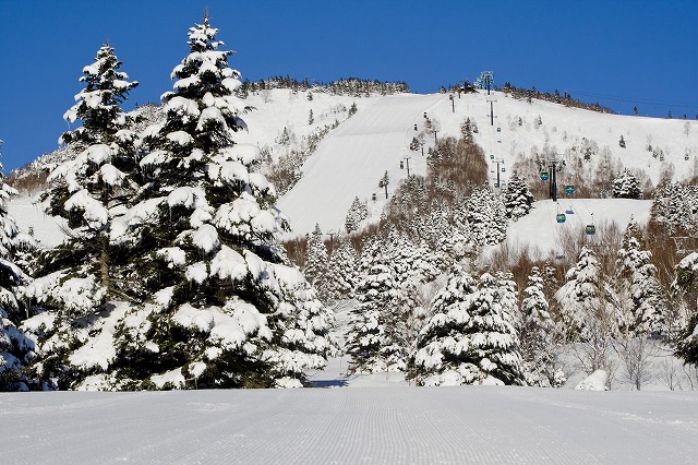 志賀高原焼額山スキー場(長野県)