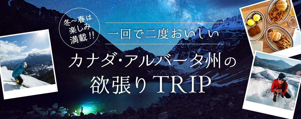 冬~春は楽しみ満載! 一回で二度おいしい カナダ・アルバータ州の欲張りTRIP