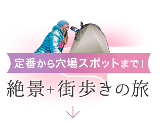 オーロラ+αの旅