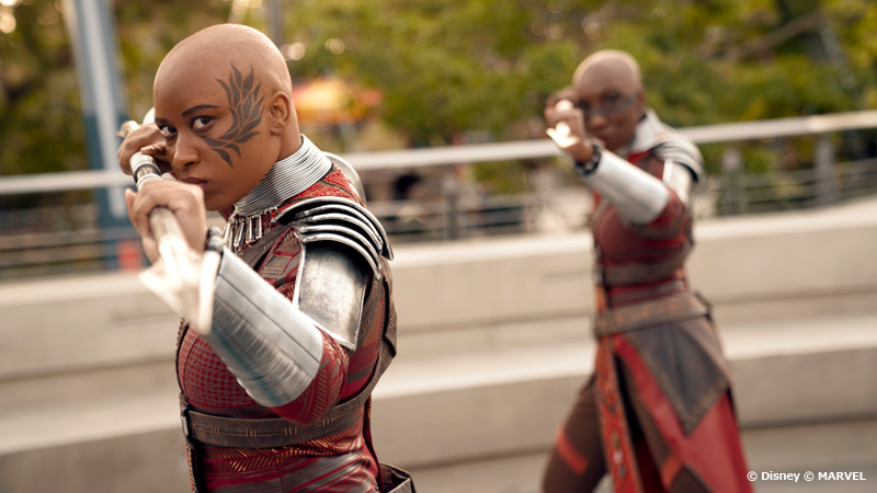 カリフォルニア ディズニーランド リゾート 海外旅行特集 トラベルコ