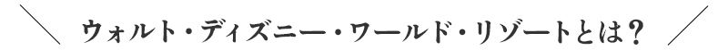 ＼ウォルト・ディズニー・ワールド・リゾートとは？／