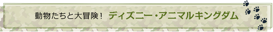 動物たちと大冒険！　ディズニー・アニマルキングダム