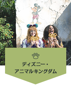 ディズニー・アニマルキングダム