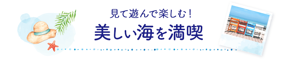 見て遊んで楽しむ！　美しい海を満喫