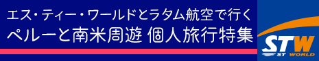 株式会社 エス･ティー･ワールド