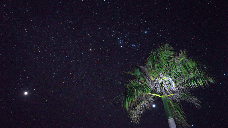 たくさんの星座を見つけよう　©Star Gazing Saipan