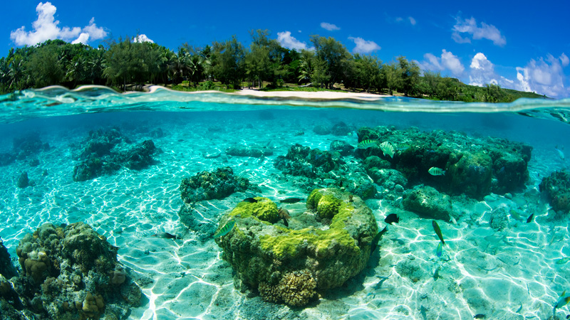 珊瑚礁が美しい南部にあるオブジャンビーチ（地図4-1)　©Junji Takasago / MVA