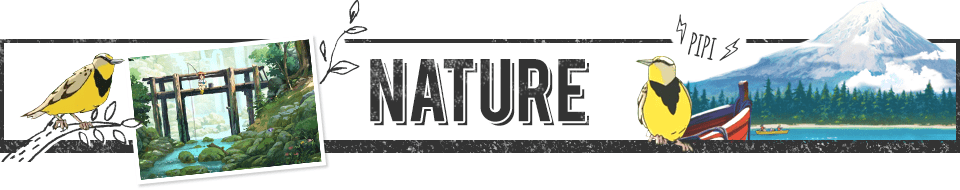 NATURE