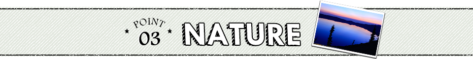 POINT3 NATURE