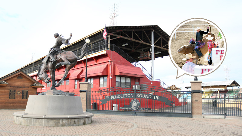 ペンドルトン・ラウンドアップが行われる競技場。9月には大勢の人でにぎわいます。