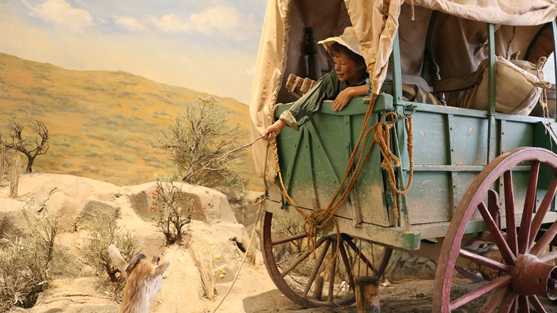 こんなに小さい子どもまで約3,500kmの道のりを移動していたなんて驚きです。（国立オレゴントレイル歴史資料館）