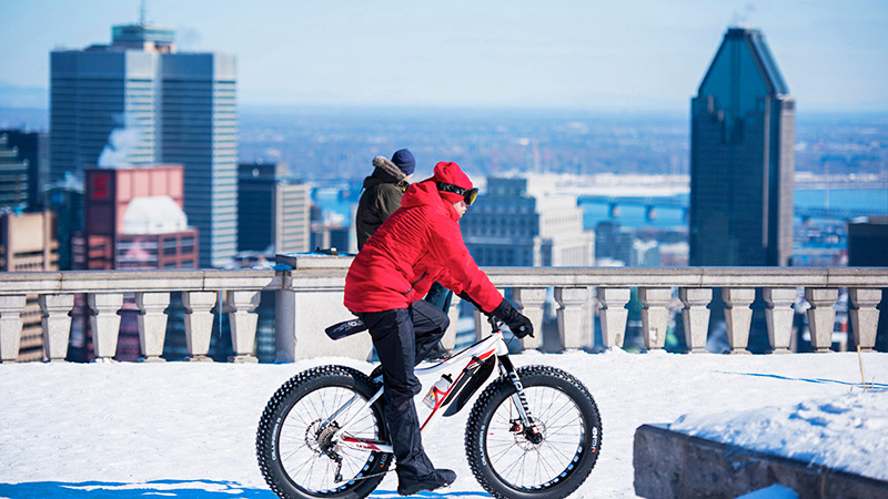 冬のモン・ロワイヤル公園は、辺り一面雪景色。展望テラスからの景色もお見逃しなく！（画像提供：© Alison Slattery）