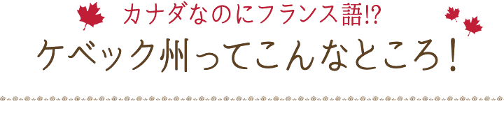 カナダなのにフランス語!?ケベック州ってこんなところ!