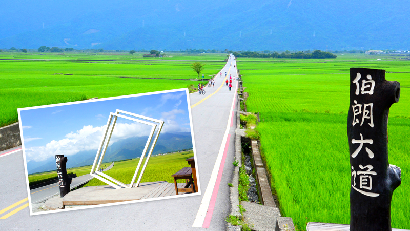 CMロケ地として注目された、伯朗大道（ブラウンロード）