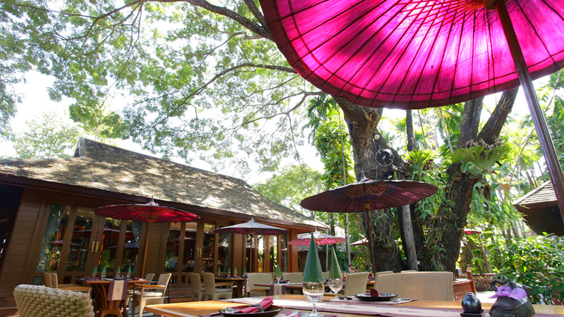 チェンマイでは、オシャレなカフェが急増中!